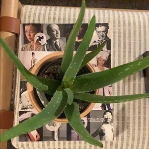 Meet your Posher, Prativa